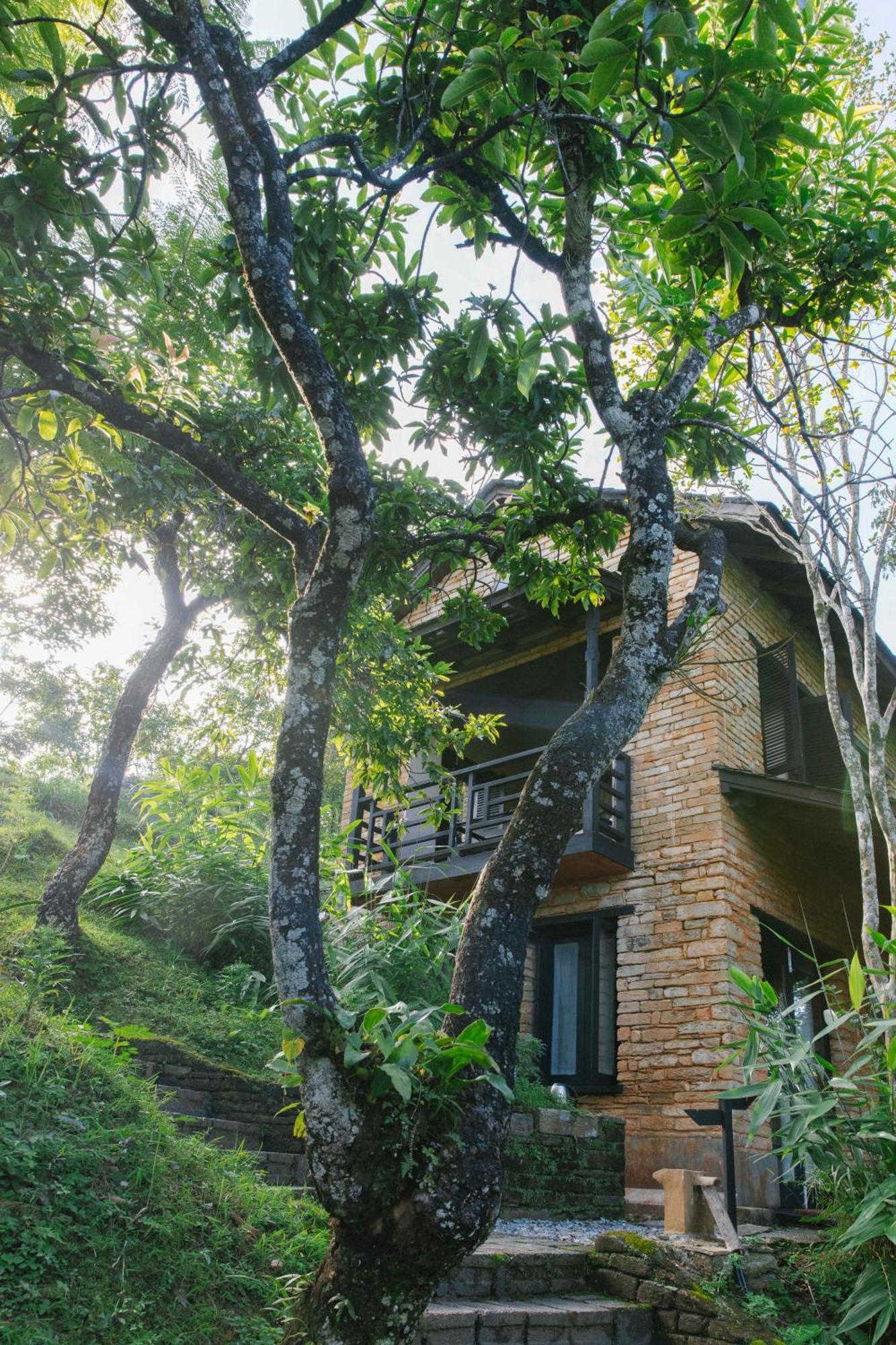 Tiger Mountain Pokhara Lodge Εξωτερικό φωτογραφία